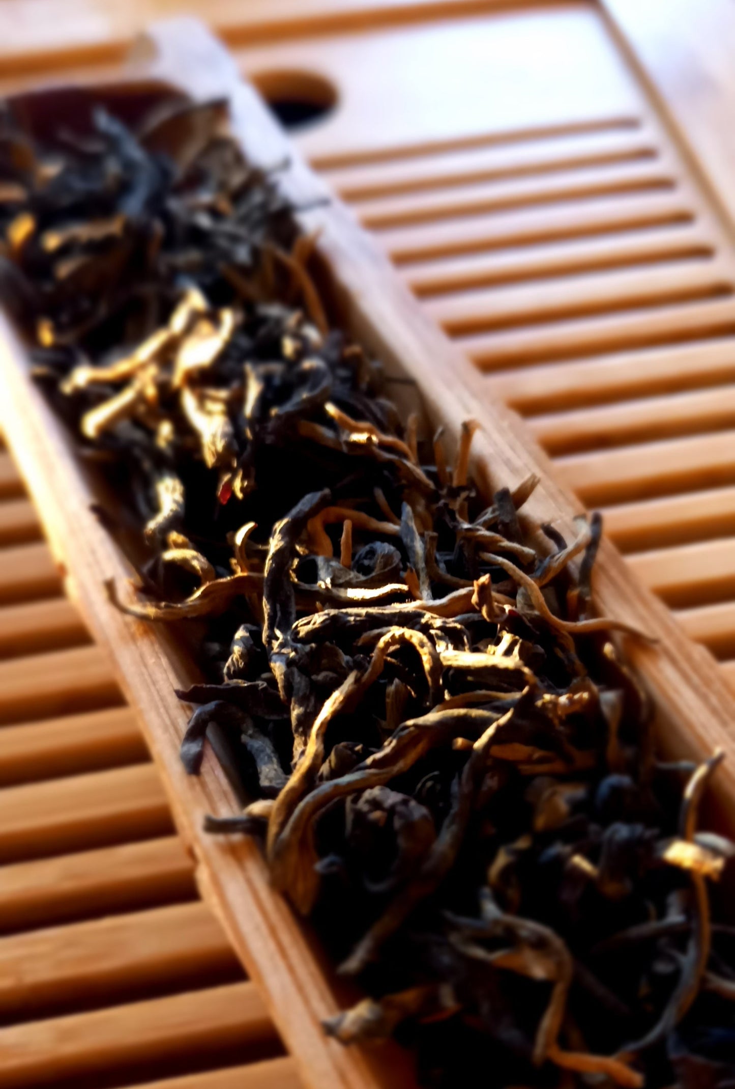 Atelier: Les thés verts et rouges