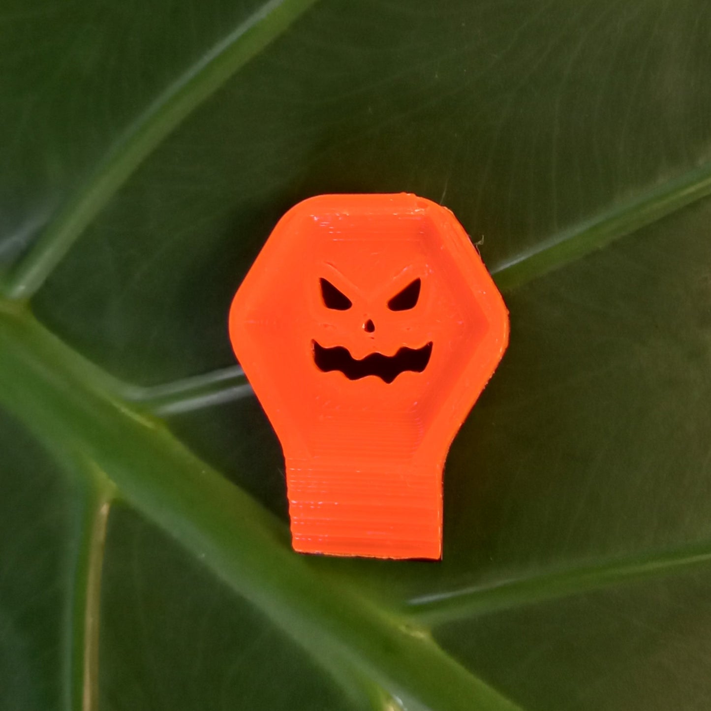 Mangeoire isopodes - Spécial Halloween