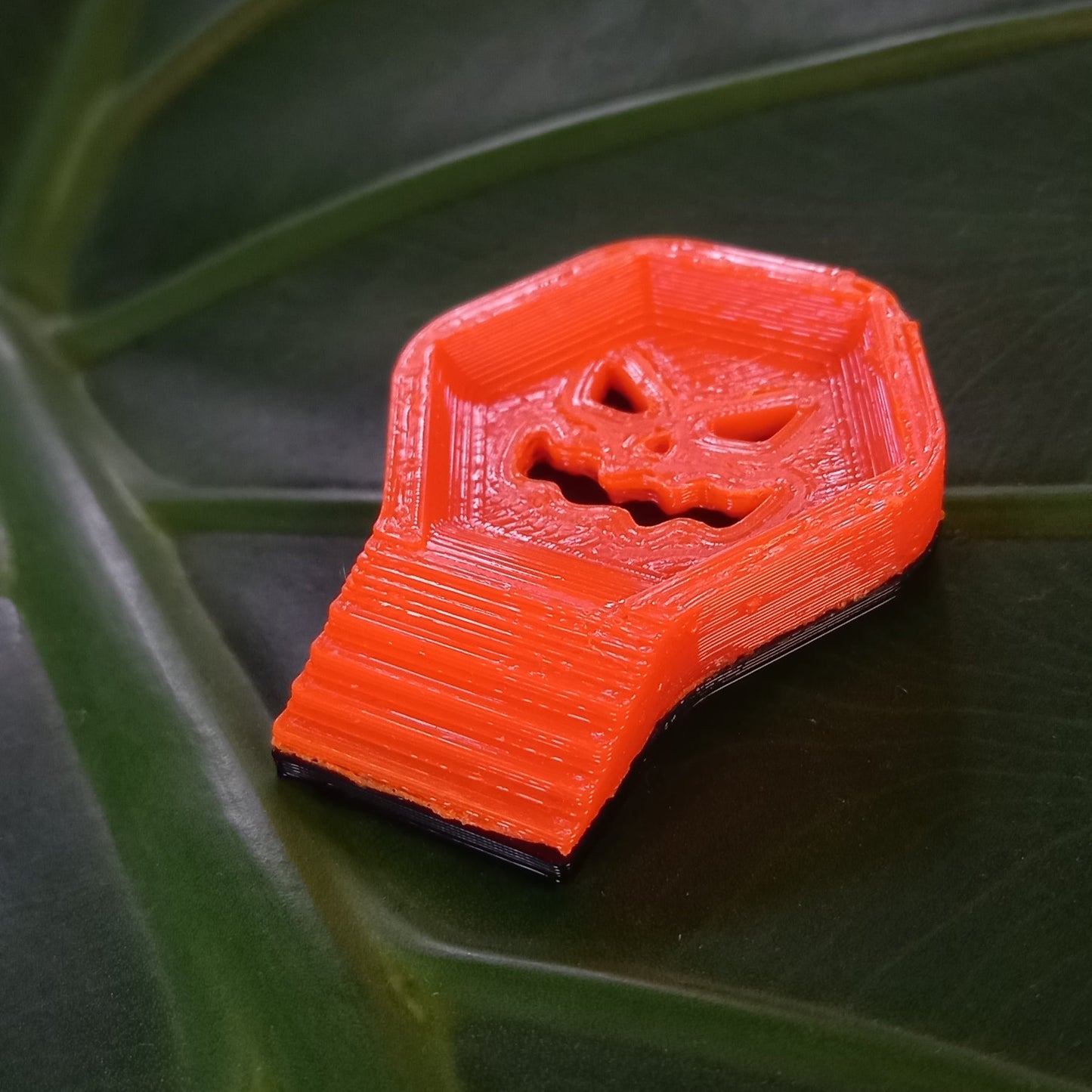 Mangeoire isopodes - Spécial Halloween