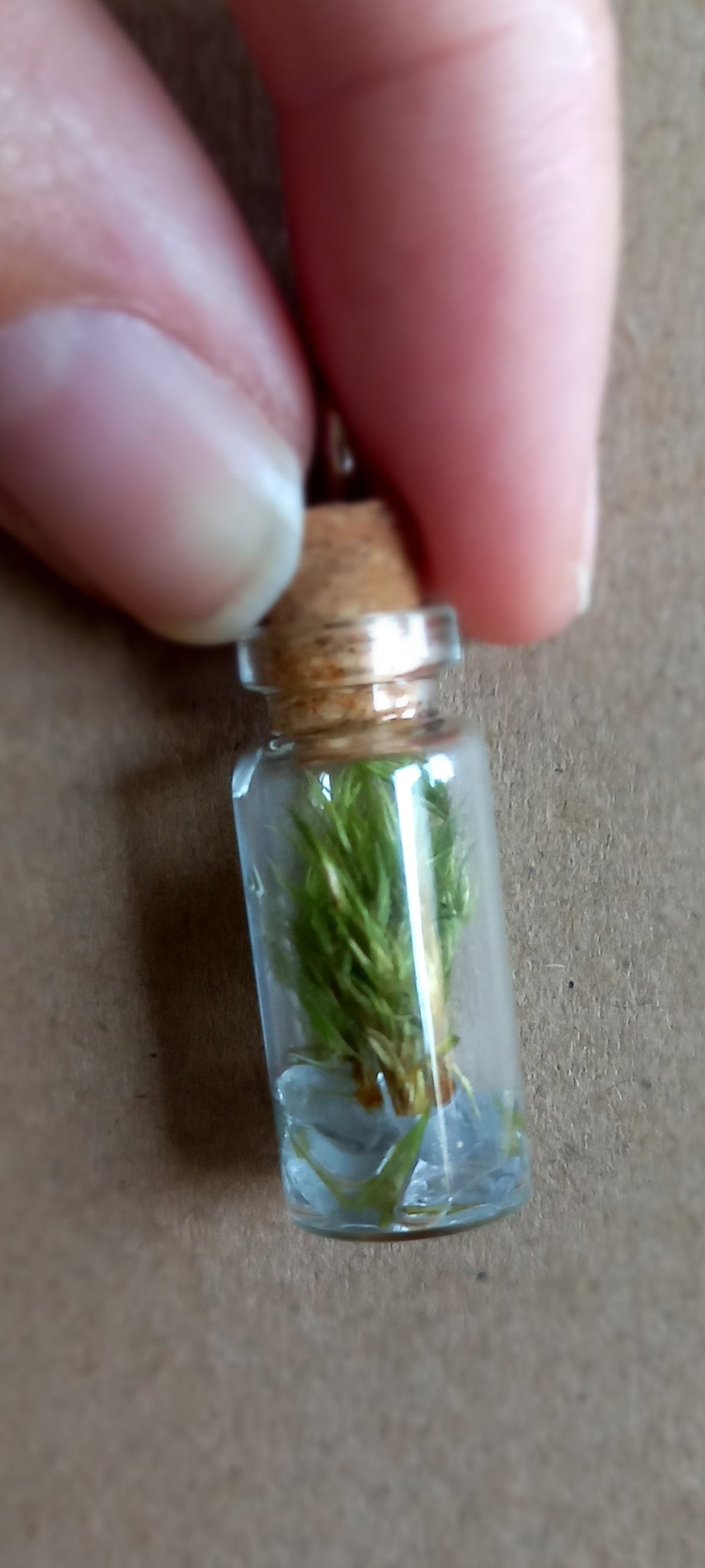 Pendentif micro-terra