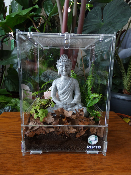 Méditation